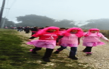 PUJOL-SUR-CIRON - RANDONNEE DU RUBAN ROSE-gironde