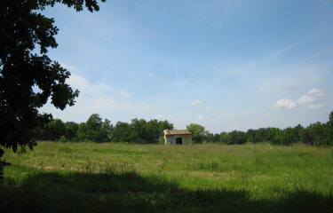 Quinsac sur Gironde-gironde