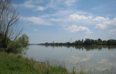 Quinsac sur Gironde-gironde