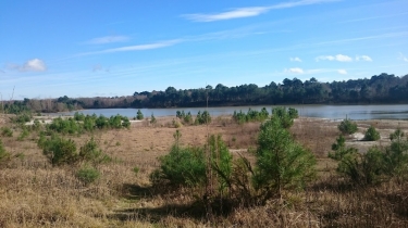 TOUR DE LA SABLIERE DU LAUGEY-gironde