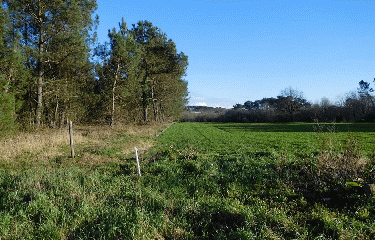 LARUSCADE 11.5 KM-gironde