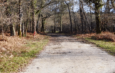 LARUSCADE 11.5 KM-gironde