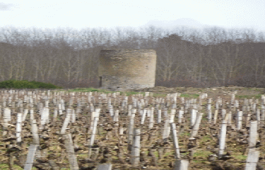 EYRANS 10 KM-gironde