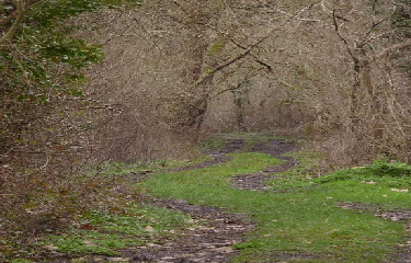 EYRANS 10 KM-gironde