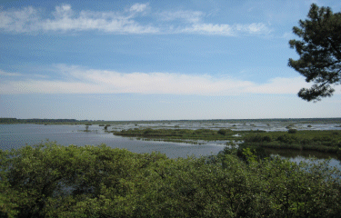 Lacanau Ocean -gironde