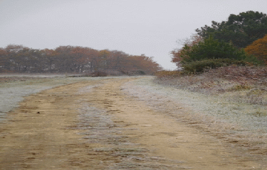 LES ORTIGUES 10 KM-gironde