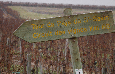 LES ORTIGUES 10 KM-gironde