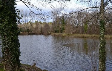 MARCENAIS 11 KM-gironde