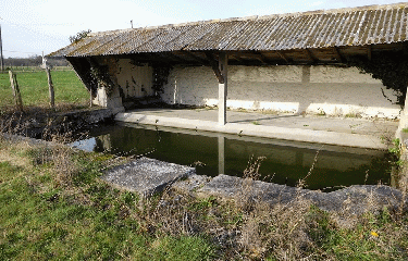 MARSAS 9.5 KM-gironde