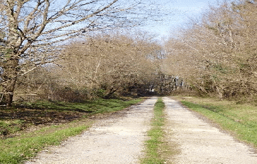 MARSAS 9.5 KM-gironde