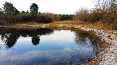 SAINT-MEDARD EN JALLES - EN SOUS BOIS POUR UNE GRANDE PARTIE-gironde