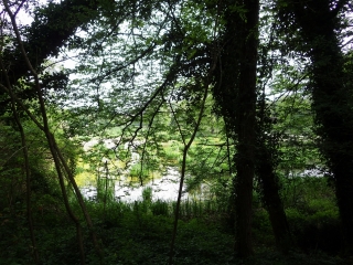 DE VILLANDRAUT A UZESTE ET RETOUR-gironde