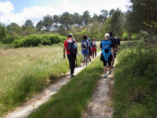 DE VILLANDRAUT A UZESTE ET RETOUR-gironde