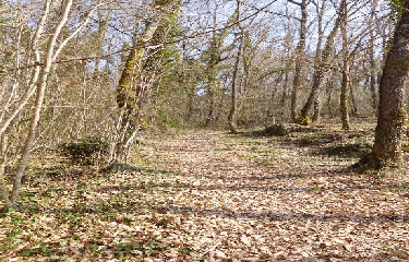 JUGAZAN 8 KM-gironde