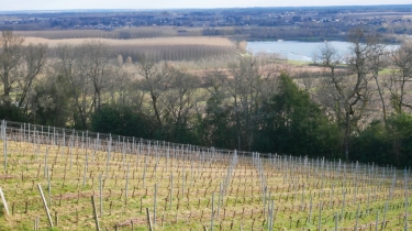 BOUCLE DE CAMBES-gironde