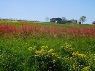 MOUILLAC 13 KM-gironde