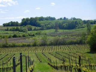 MOUILLAC 13 KM-gironde