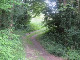 LANSAC - BOUCLE AU MILIEU DES VIGNES-gironde