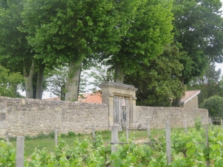 LANSAC - BOUCLE AU MILIEU DES VIGNES-gironde