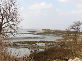 DOMAINE DE CERTES-gironde