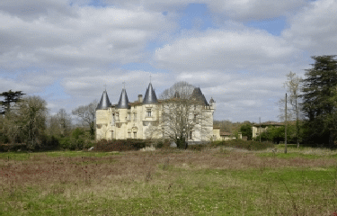 LE SUD DE BARON EN GIRONDE-gironde