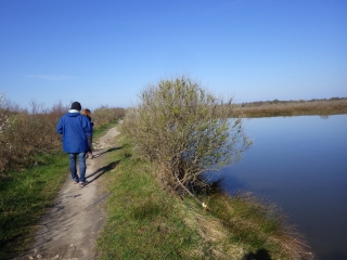 DELTA DE LA LEYRE - AUTOUR DU PARC ORNITHOLOGIQUE DU TEICH-gironde