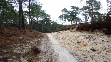 LACANAU-OCEAN - ETANG DE COUSSEAU ET RETOUR PAR LA PLAGE-gironde