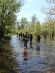 LAC DES DAGUEYS PAR LES BILLAUX 17KM-gironde