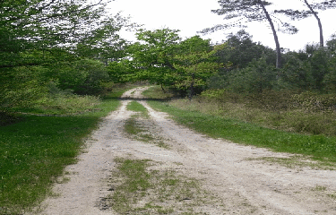 MARCILLAC 8 KM-gironde