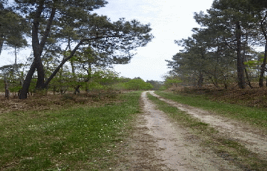 MARCILLAC 8 KM-gironde