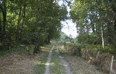 Castelnau de Medoc-gironde