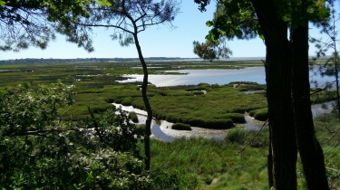 RESERVE NATURELLE DES PRE-SALES D ARES-gironde