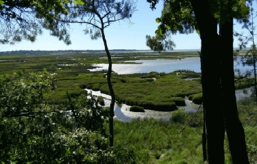 RESERVE NATURELLE DES PRE-SALES D ARES-gironde
