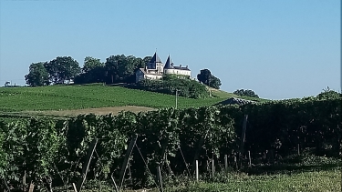 FRONSAC - SAILLANS-gironde