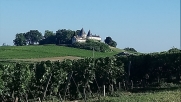 FRONSAC - SAILLANS-gironde