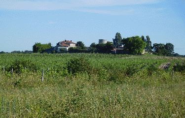 CAMPUGNAN 10 KM-gironde