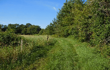 CAMPUGNAN 10 KM-gironde