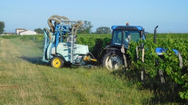 LUGON DU HAUT DU TERTRE DE THOUIL-gironde
