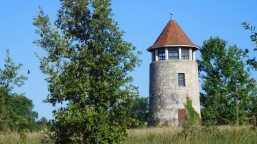 LUGON DU HAUT DU TERTRE DE THOUIL-gironde