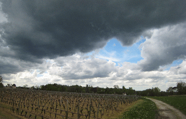 Sauternes et Bommes -gironde
