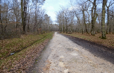 RANDO PUGNAC 11 KM-gironde