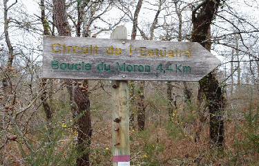 RANDO PUGNAC 11 KM-gironde