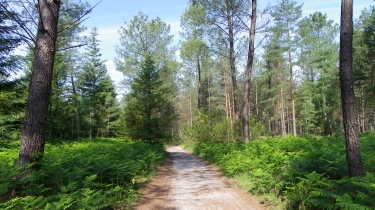 TOUR DES LACS D HOSTEINS-gironde