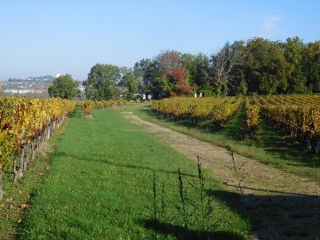 CUBZAC-LES-PONTS - 5 KM-gironde