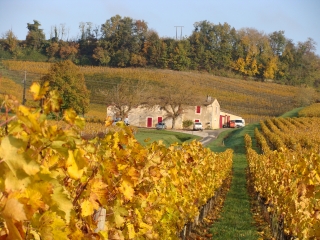 SAINT-HIPPOLYTE PAR SAINT-ETIENNE-DE-LISSE 15KM-gironde