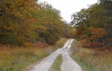 GENERAC - 7 KM-gironde