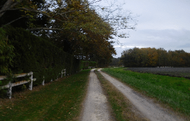 GENERAC - 7 KM-gironde