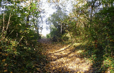 GAURIAC - 12.2 KM-gironde