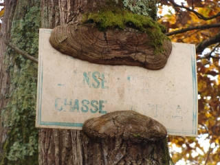 LIGNAN-DE-BORDEAUX PAR CHATEAU LEON - 14.4KM-gironde