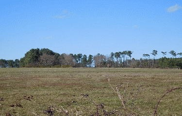 REIGNAC 8 KM-gironde